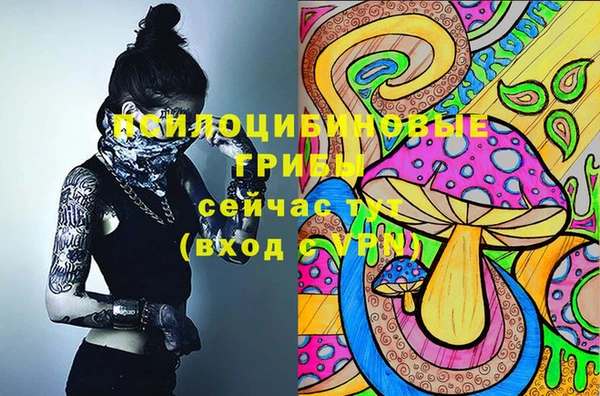 PSILOCYBIN Бугульма