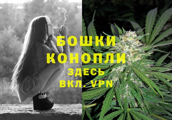 мдпв Бронницы