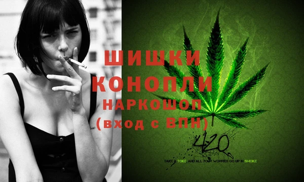 PSILOCYBIN Бугульма