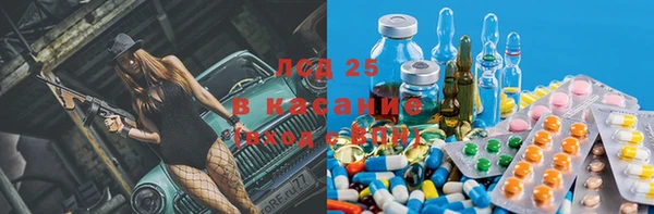 PSILOCYBIN Бугульма