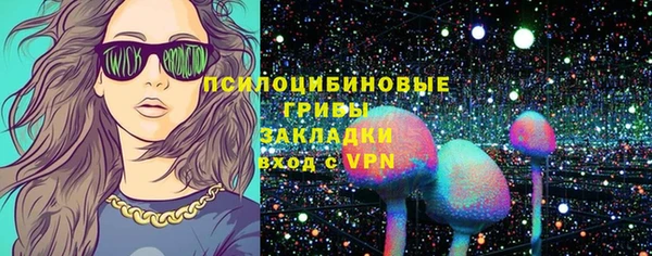 PSILOCYBIN Бугульма
